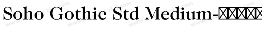 Soho Gothic Std Medium字体转换